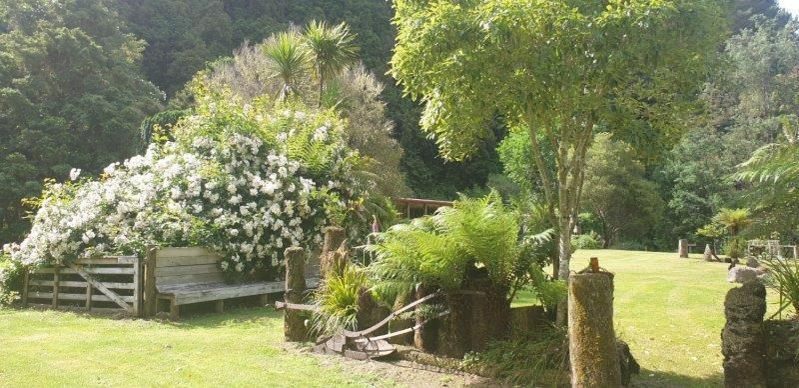 Blackfern Lodge Waimiha Eksteriør billede